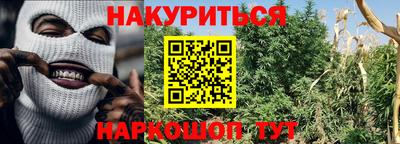 эйфоретик Ставрополь