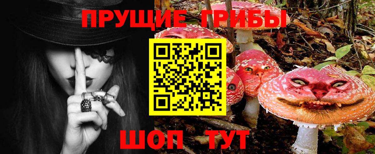 Майкоп  Галлюциногенные грибы Cubensis  Вход с VPN 